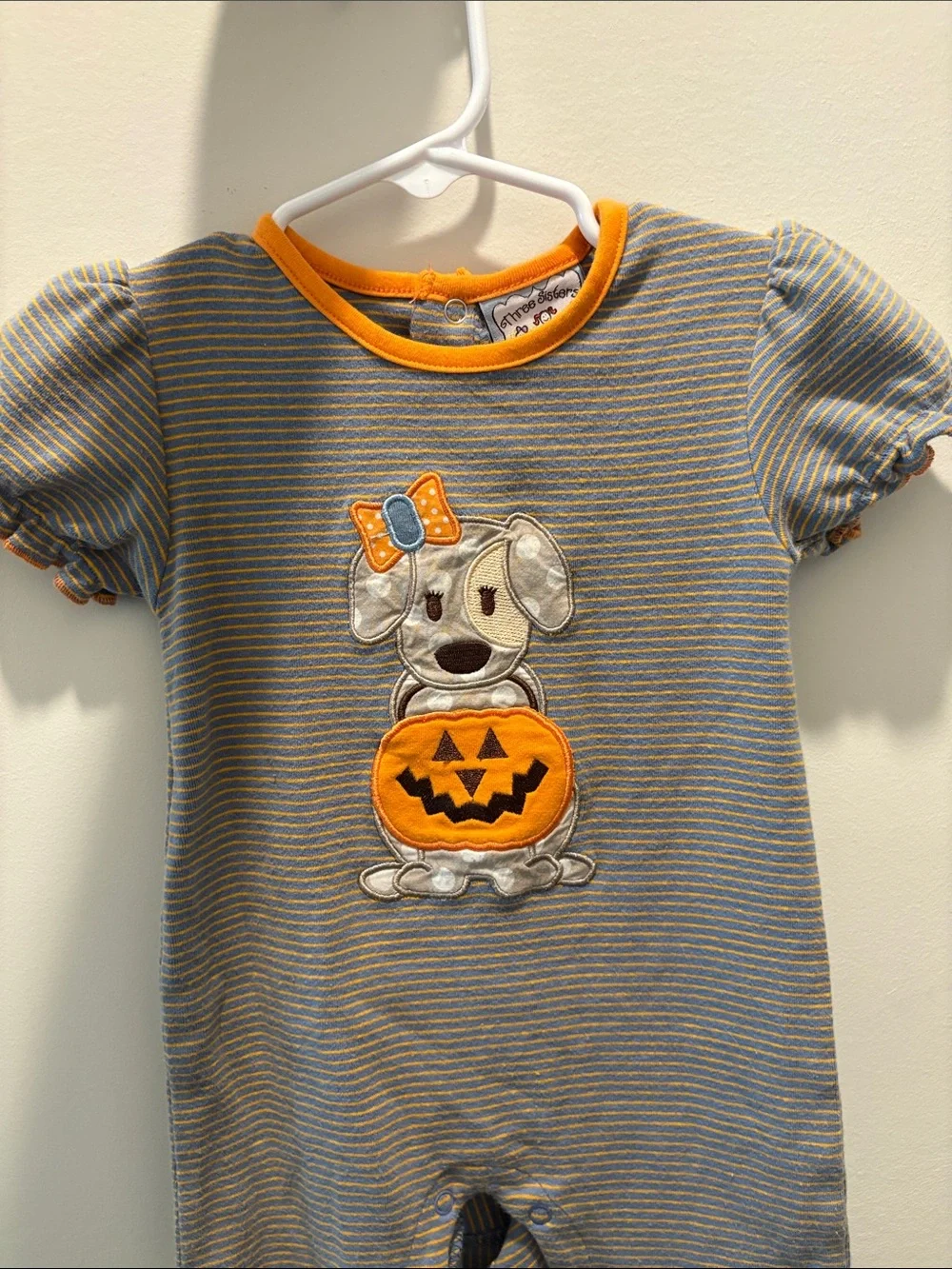 Three Sisters cutest pumpkin